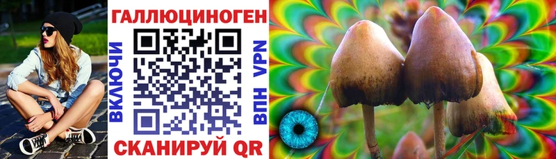Псилоцибиновые грибы Psilocybe Иноземцево