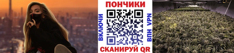 купить  сайты  darknet состав  МАРИХУАНА THC 21%  Иноземцево 
